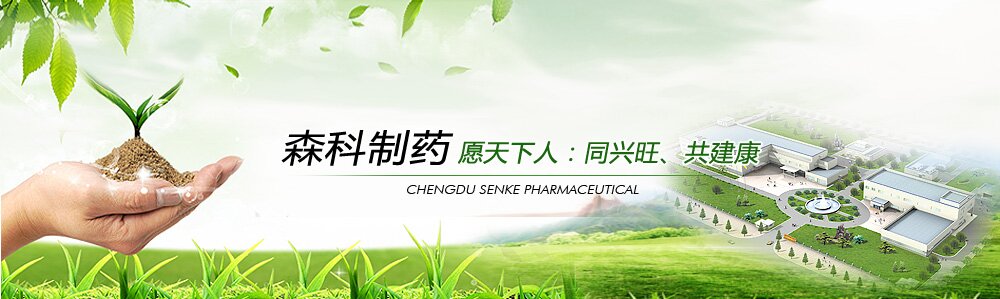 标题1